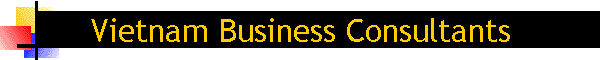 Vietnam Business Consultants